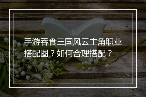手游吞食三国风云主角职业搭配图？如何合理搭配？