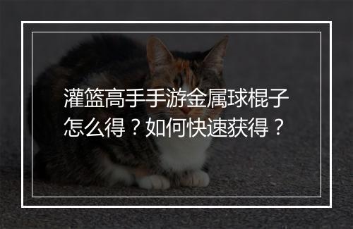 灌篮高手手游金属球棍子怎么得？如何快速获得？