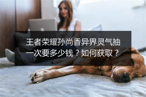 王者荣耀孙尚香异界灵气抽一次要多少钱？如何获取？
