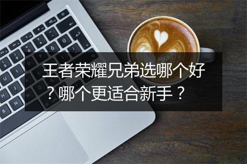 王者荣耀兄弟选哪个好？哪个更适合新手？