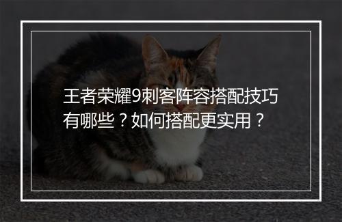 王者荣耀9刺客阵容搭配技巧有哪些？如何搭配更实用？