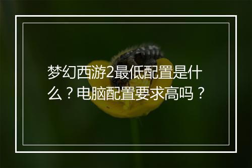 梦幻西游2最低配置是什么？电脑配置要求高吗？