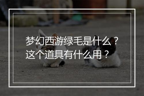梦幻西游绿毛是什么？这个道具有什么用？
