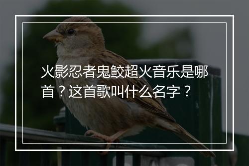 火影忍者鬼鲛超火音乐是哪首?这首歌叫什么名字?