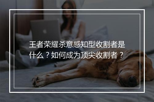 王者荣耀杀意感知型收割者是什么？如何成为顶尖收割者？
