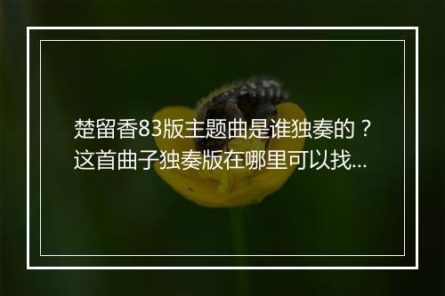 楚留香83版主题曲是谁独奏的？这首曲子独奏版在哪里可以找到？