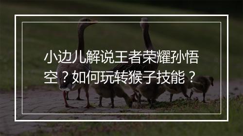 小边儿解说王者荣耀孙悟空？如何玩转猴子技能？