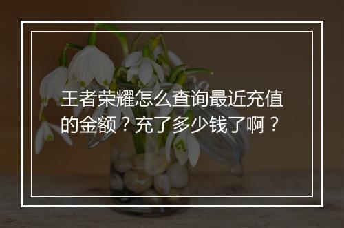 王者荣耀怎么查询最近充值的金额？充了多少钱了啊？