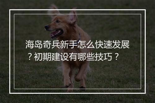 海岛奇兵新手怎么快速发展？初期建设有哪些技巧？