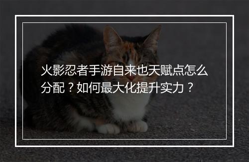 火影忍者手游自来也天赋点怎么分配？如何最大化提升实力？