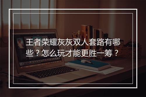 王者荣耀灰灰双人套路有哪些?怎么玩才能更胜一筹?