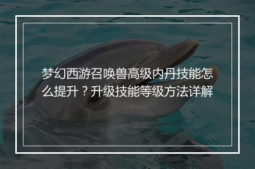 梦幻西游召唤兽高级内丹技能怎么提升？升级技能等级方法详解