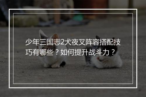 少年三国志2犬夜叉阵容搭配技巧有哪些？如何提升战斗力？