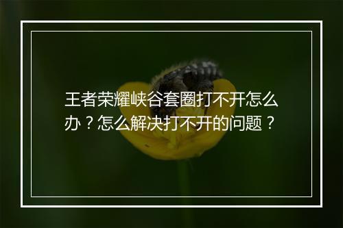 王者荣耀峡谷套圈打不开怎么办?怎么解决打不开的问题?