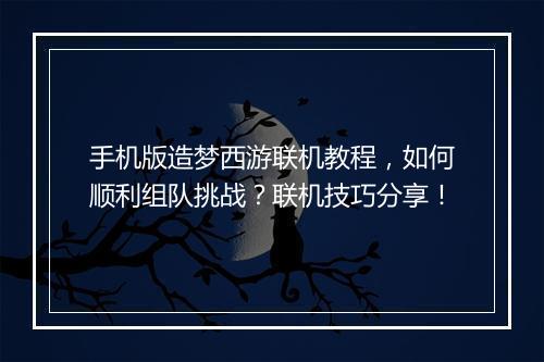 手机版造梦西游联机教程，如何顺利组队挑战？联机技巧分享！