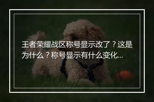 王者荣耀战区称号显示改了?这是为什么?称号显示有什么变化?