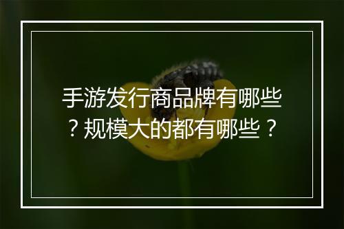 手游发行商品牌有哪些？规模大的都有哪些？