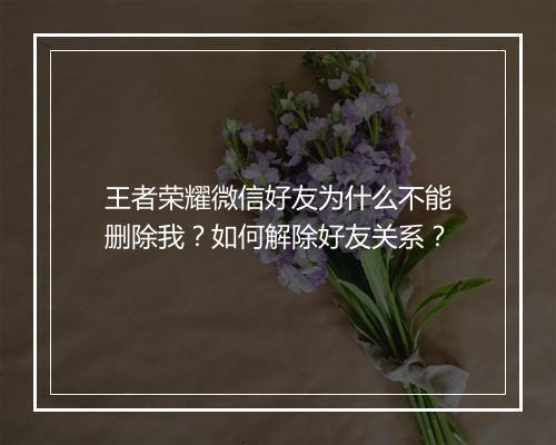 王者荣耀微信好友为什么不能删除我？如何解除好友关系？