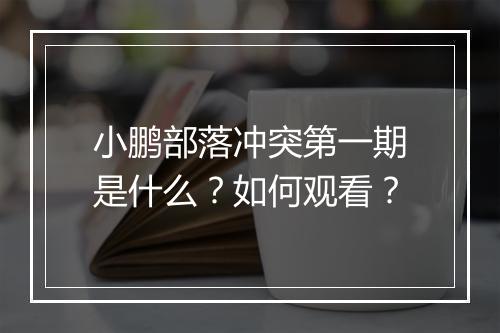 小鹏部落冲突第一期是什么？如何观看？