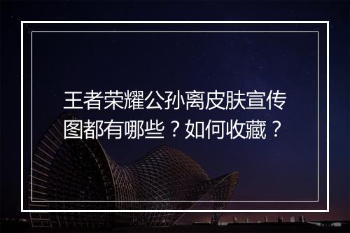 王者荣耀公孙离皮肤宣传图都有哪些？如何收藏？