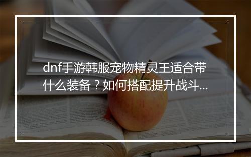 dnf手游韩服宠物精灵王适合带什么装备？如何搭配提升战斗力？