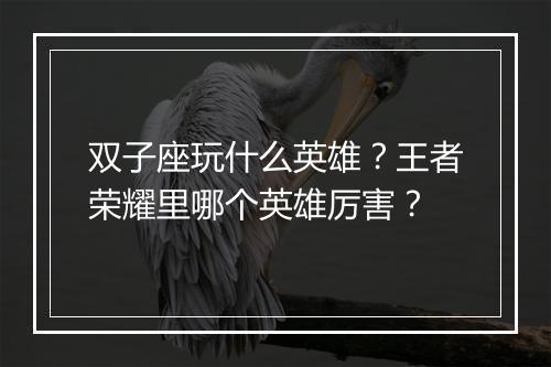 双子座玩什么英雄?王者荣耀里哪个英雄厉害?