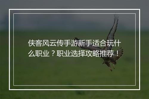 侠客风云传手游新手适合玩什么职业？职业选择攻略推荐！