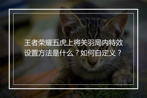 王者荣耀五虎上将关羽局内特效设置方法是什么?如何自定义?
