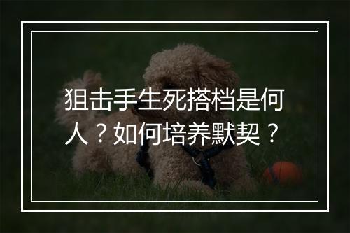 狙击手生死搭档是何人？如何培养默契？