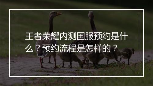 王者荣耀内测国服预约是什么？预约流程是怎样的？