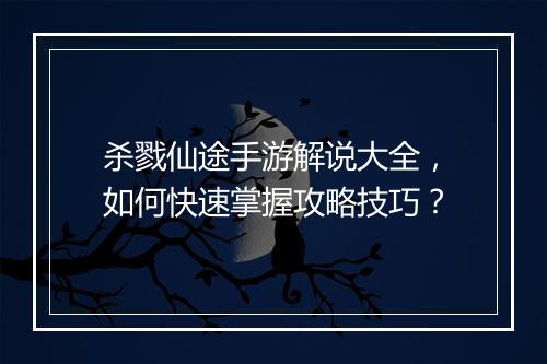 杀戮仙途手游解说大全，如何快速掌握攻略技巧？