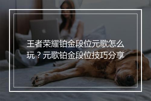 王者荣耀铂金段位元歌怎么玩？元歌铂金段位技巧分享