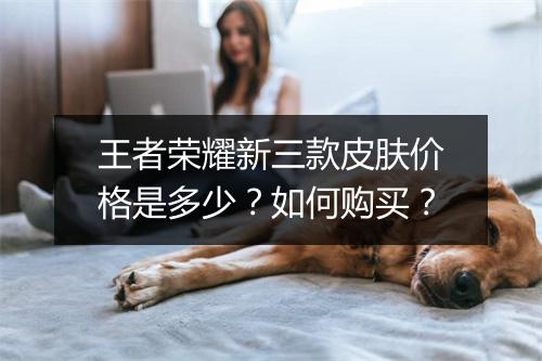 王者荣耀新三款皮肤价格是多少？如何购买？