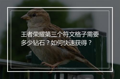 王者荣耀第三个符文格子需要多少钻石？如何快速获得？