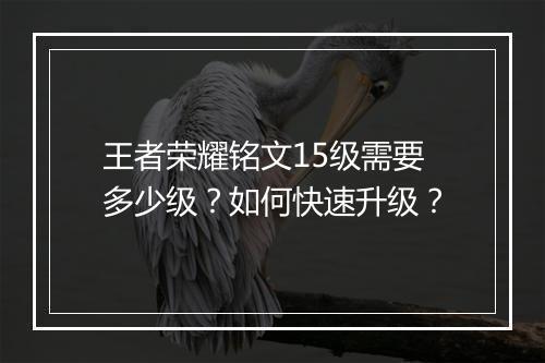 王者荣耀铭文15级需要多少级？如何快速升级？