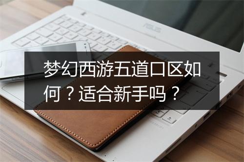 梦幻西游五道口区如何？适合新手吗？