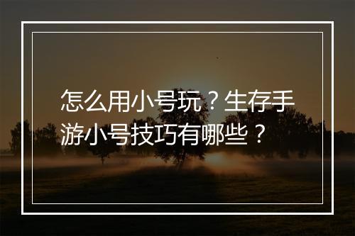 怎么用小号玩？生存手游小号技巧有哪些？