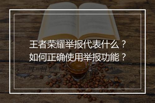 王者荣耀举报代表什么？如何正确使用举报功能？