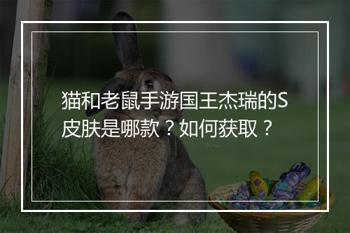 猫和老鼠手游国王杰瑞的S皮肤是哪款？如何获取？