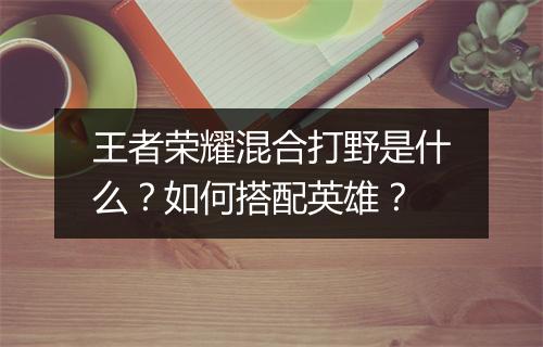 王者荣耀混合打野是什么？如何搭配英雄？