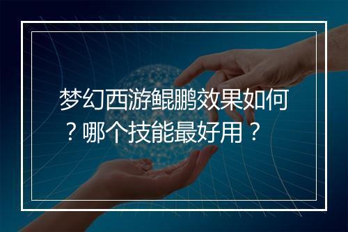 梦幻西游鲲鹏效果如何？哪个技能最好用？