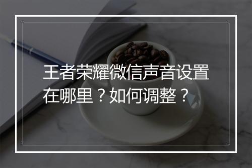 王者荣耀微信声音设置在哪里？如何调整？