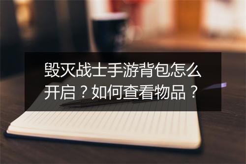 毁灭战士手游背包怎么开启？如何查看物品？