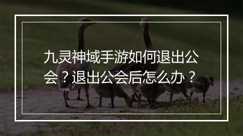 九灵神域手游如何退出公会？退出公会后怎么办？