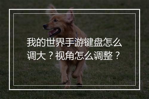 我的世界手游键盘怎么调大？视角怎么调整？