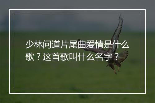 少林问道片尾曲爱情是什么歌？这首歌叫什么名字？