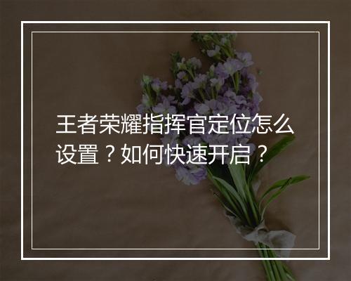 王者荣耀指挥官定位怎么设置？如何快速开启？