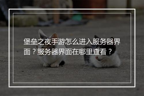 堡垒之夜手游怎么进入服务器界面？服务器界面在哪里查看？