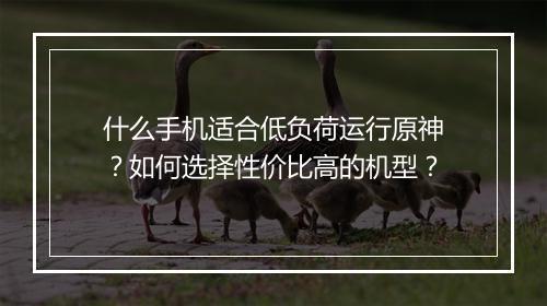什么手机适合低负荷运行原神？如何选择性价比高的机型？