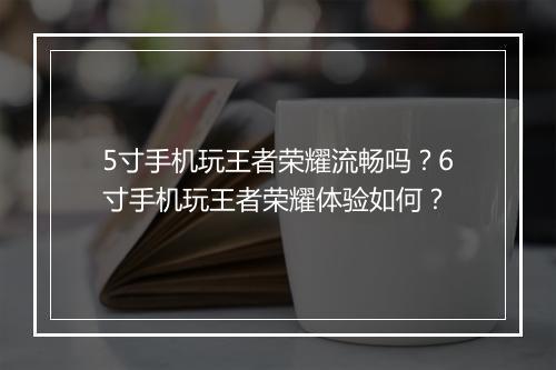 5寸手机玩王者荣耀流畅吗？6寸手机玩王者荣耀体验如何？